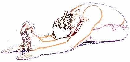 Paschimottanasana Paschimottanasana