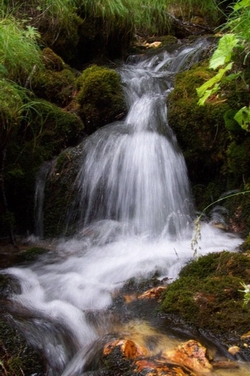 acqua