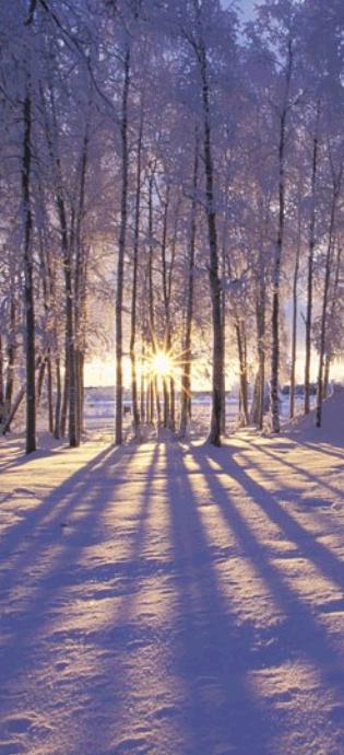 inverno inverno