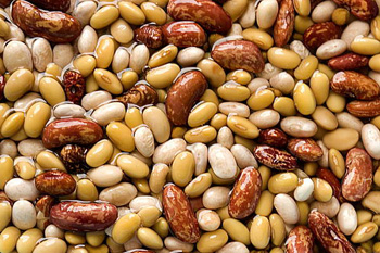 fagioli2