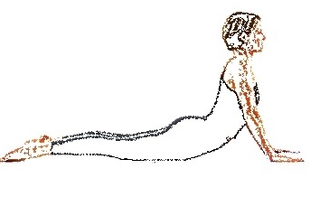 Bhujangasana Bhujangasana, posizione del cobra
