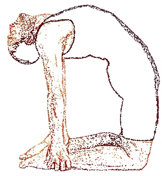 Ustrasana_cammello Ustrasana_cammello