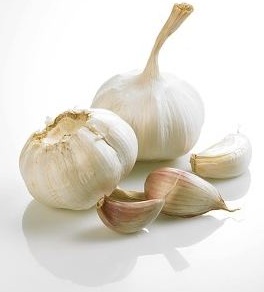 aglio