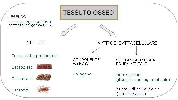 osso