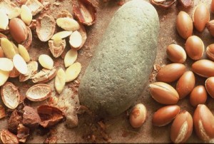 argan-noci