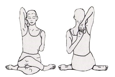 gomukhasana