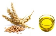 olio germe di grano