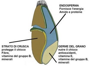 cereali