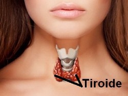 tiroide